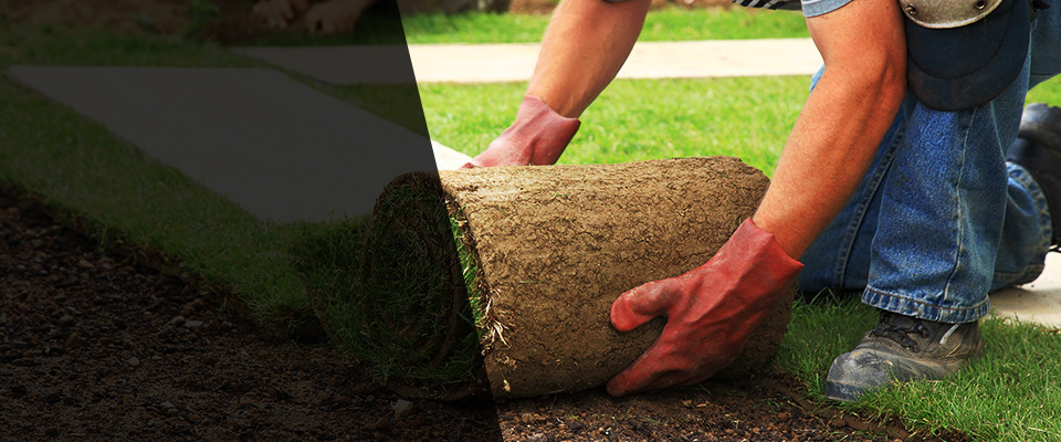 Atlantic Highlands Landscapers